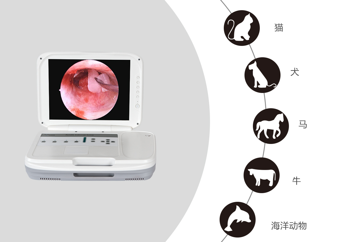 內(nèi)窺鏡攝像機(jī)的應(yīng)用領(lǐng)域有哪些？